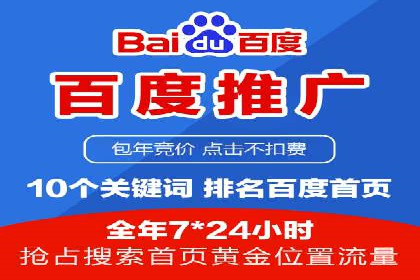 成功运用SEM技术提升网站流量的案例研究